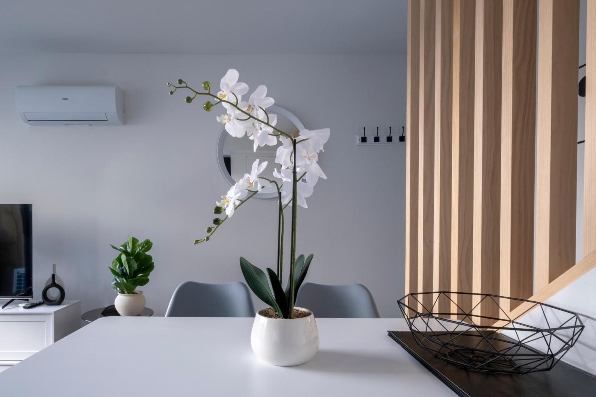 Luxury 2 Bed Townhome In Cbd Christchurch Extérieur photo